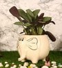 White Ceramic Elephant Shape Flower Pot