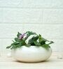 White Ceramic Belly Desk Pot
