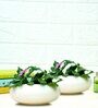 White Ceramic Desk Pot