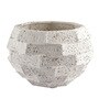 White Ceramic Flower Regalia Vases