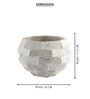 White Ceramic Flower Regalia Vases