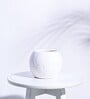 White Ceramic Football Shape Desk Pot Desk Pot