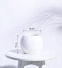 White Ceramic Football Shape Desk Pot Desk Pot