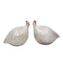 White Ceramic Hefty but Appealing Hen Duo Set Showpiece