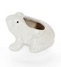 White Ceramic Mini Frog Pot