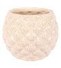 White Ceramic Pineapple Bowl Shape Flower Pot