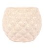 White Ceramic Pineapple Bowl Shape Flower Pot