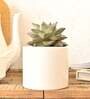 White Ceramic Pipe Shape Desk Pot Desk Pot