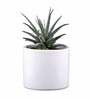 White Ceramic Pipe Shape Desk Pot Desk Pot