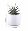 White Ceramic Pipe Shape Desk Pot Desk Pot