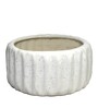White Ceramic Levare Desk Pot