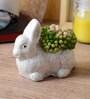 White Ceramic Rabbit Pot