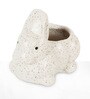 White Ceramic Rabbit Pot
