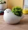 White Ceramic Small Bird Pot