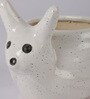 White Ceramic Snail Shape Flower Pot-Set of 2