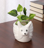 White Ceramic Snail Shape Flower Pot-Set of 2
