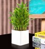 White Ceramic Square Planters