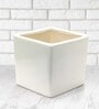 White Ceramic Square Planters