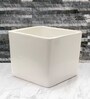 White Ceramic Square Planters