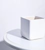 White Ceramic Square Shape Desk Pot Planter