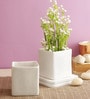 White Ceramic Square Table Top Pot Set Of 2