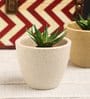 White Ceramic Table Top Desk Pot, Set Of 2