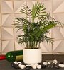 White Ceramic U Shape Flower Pot
