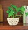White Ceramic Watermelon Shape Desk Pot Planter