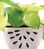 White Ceramic Watermelon Shape Desk Pot Planter