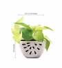 White Ceramic Watermelon Shape Desk Pot Planter
