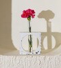 Switzer White Concrete Table Vase