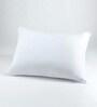 Rha Memory Foam 19 x 13 Inch Pillow