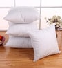 White Cotton Microfiber Filled 24X24 Inches Cushion Inserts (Set Of 4)