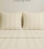Cream Cotton 300TC 2CM Striped Super King Bedsheet with 2 Pillow Covers