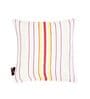 White Cotton Striped 14 x 14 inch Set of 5 Cushion Covers