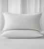 White Cotton1 Super King Bedsheet with 2 Pillow Covers