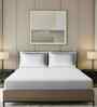 White Dotted Pattern With Dotted Embroidery 500 TC Cotton King Double Bedsheet With 2 Pillow Covers