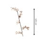 White Dried Flower Cotton Sticks Set Of 5