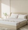 White Embroidered 210 TC Cotton King Sized Bedsheet with 2 Pillow Covers