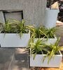 White Extra Large Fiberglass Rectangle Shape Floor Planter