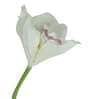 White Fabric Artificial Orchid Flower
