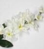 White Fabric Orchid Artificial Flowers