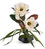 White Faux Leather Magnolia Serenade Arrangement Pot With Flower