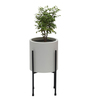 Cylindrical Shaped Large Set of 3 White Fiber Glass Floor Planter