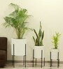 Cylindrical Shaped Large Set of 3 White Fiber Glass Floor Planter
