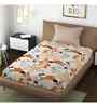 White Floral 144 TC Microfiber Single Bed Sheet Bedsheet 1 Pillow Heaven Collection