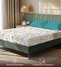 White Floral 200 TC Microfiber Double Bedsheet with 2 Pillow Covers
