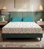 White Floral 200 TC Microfiber King Sized Bedsheet with 2 Pillow Covers