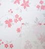 Pink Floral 210 TC Queen Bedsheet with 2 Pillow Covers Luxury Series Collection