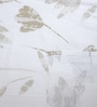 White Floral 400 TC Cotton Super King Bedsheet with 2 Pillow Covers Luxury Series Collection